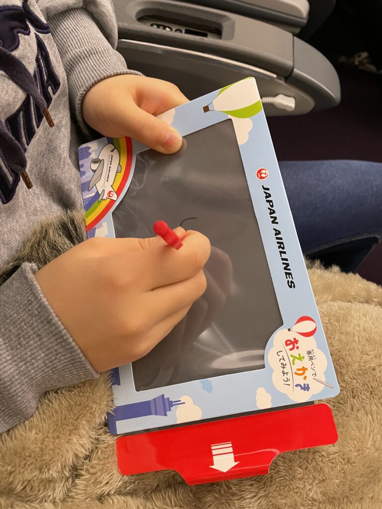 日本へ一時帰国、jal