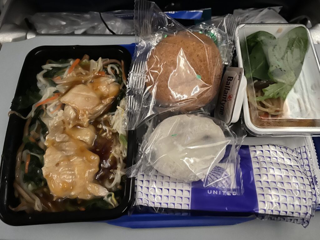 日本へ一時帰国、united airline