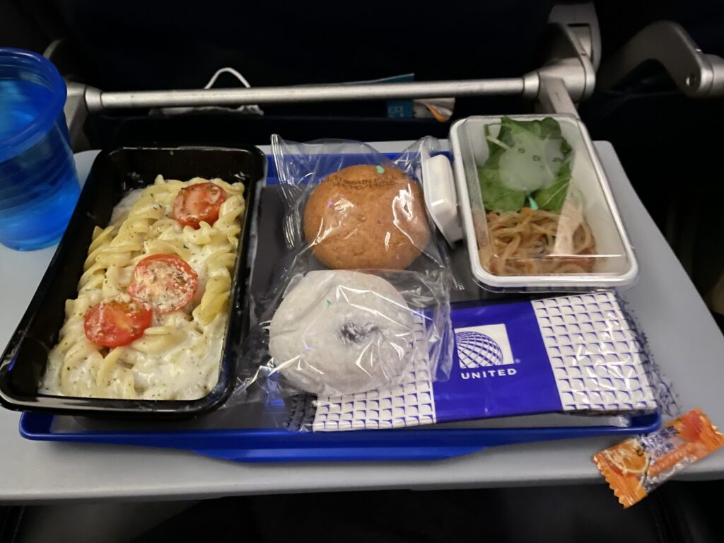 日本へ一時帰国、united airline