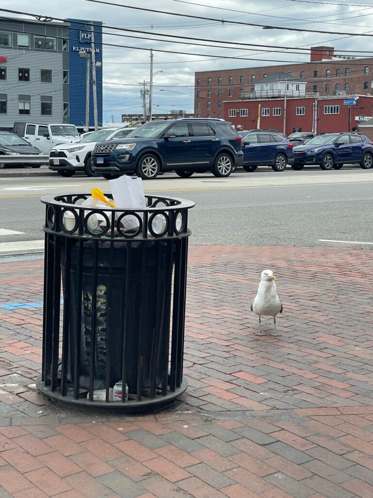 メイン州ポートランド