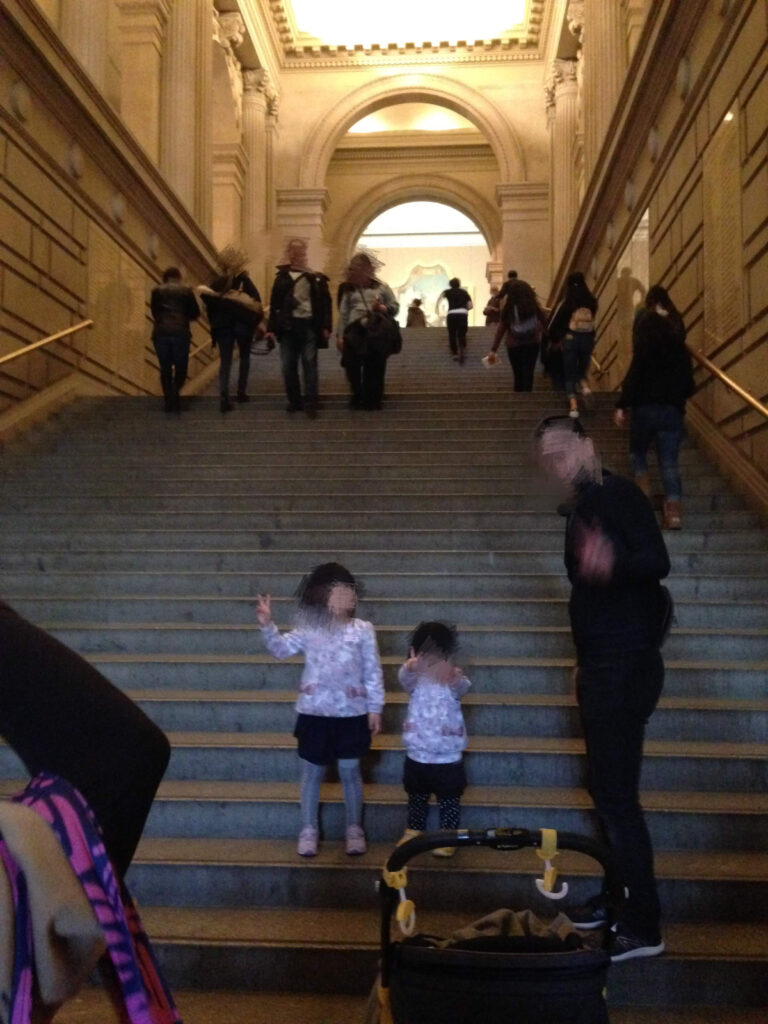 メトロポリタン美術館、メット、The Metropolitan Museum of Art