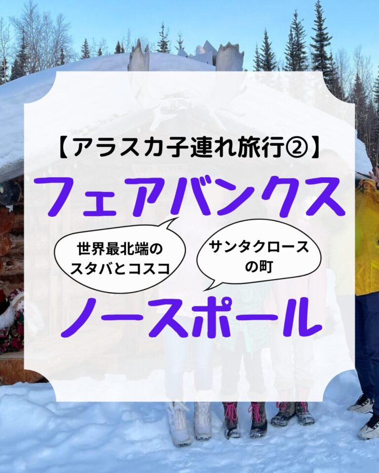 子連れアラスカ旅行記、オーロラ、フェアバンクス、ノースポール、アイキャッチ