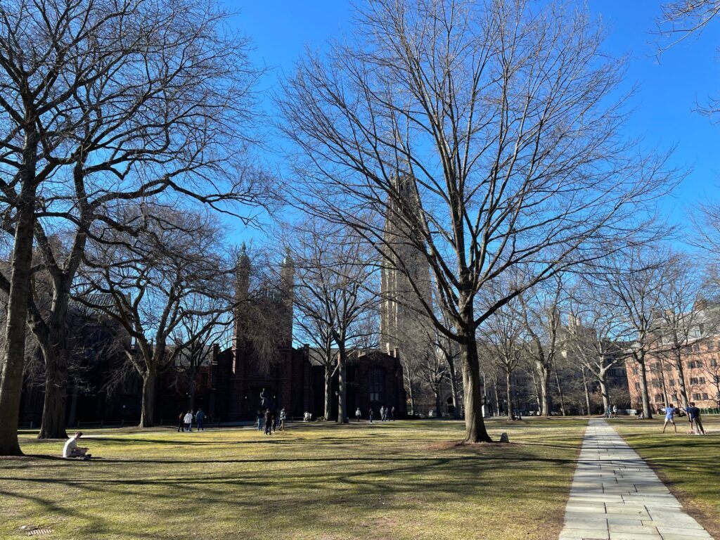 イェール大学、ニューヘイブン