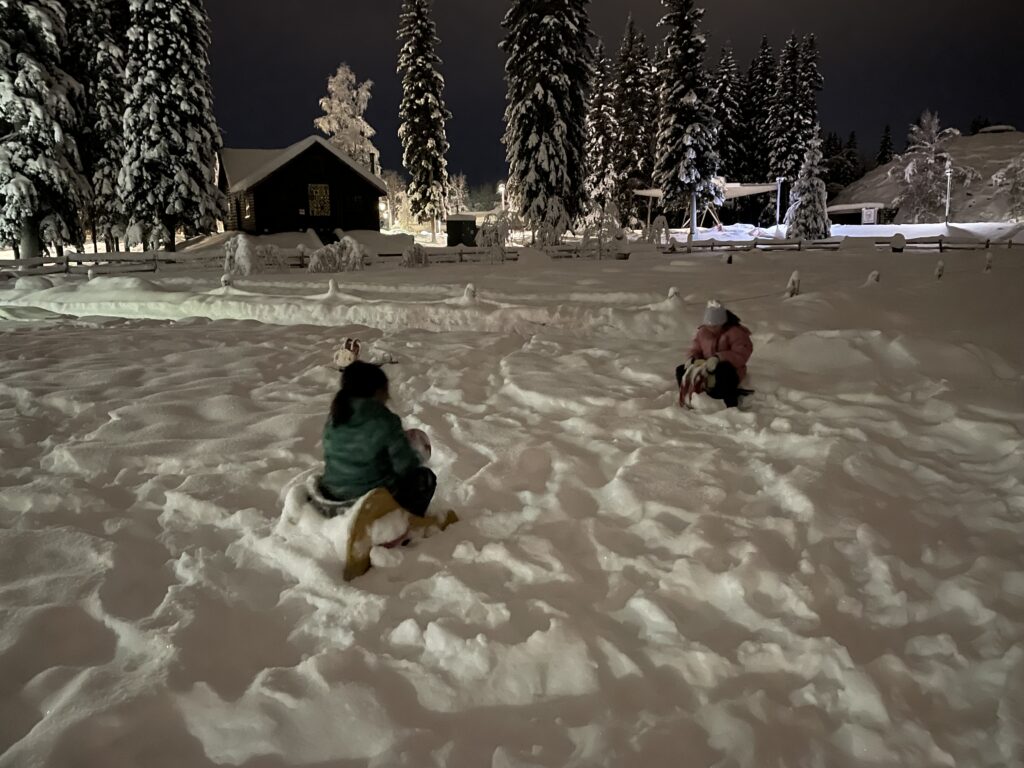 子連れアラスカ旅行記、オーロラ、フェアバンクス