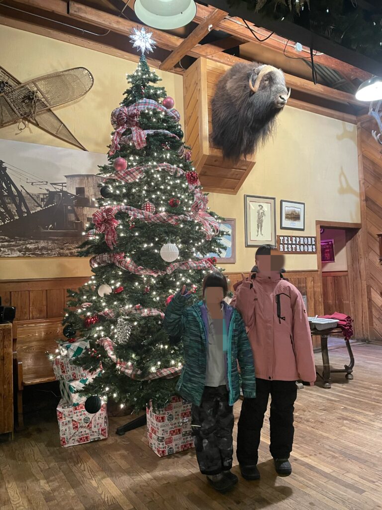子連れアラスカ旅行記、オーロラ、フェアバンクス