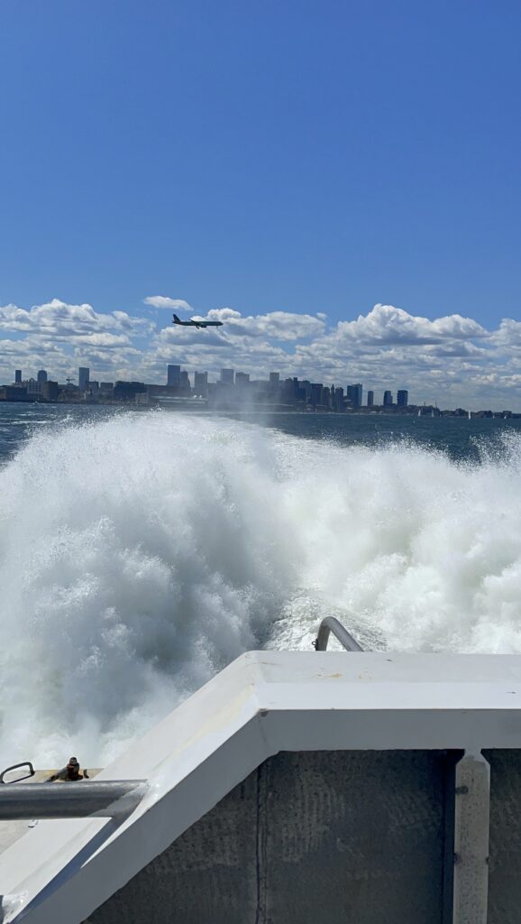 ボストン、くじらウォッチング