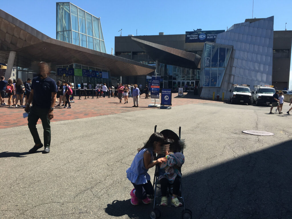 ボストン、ニューイングランド水族館