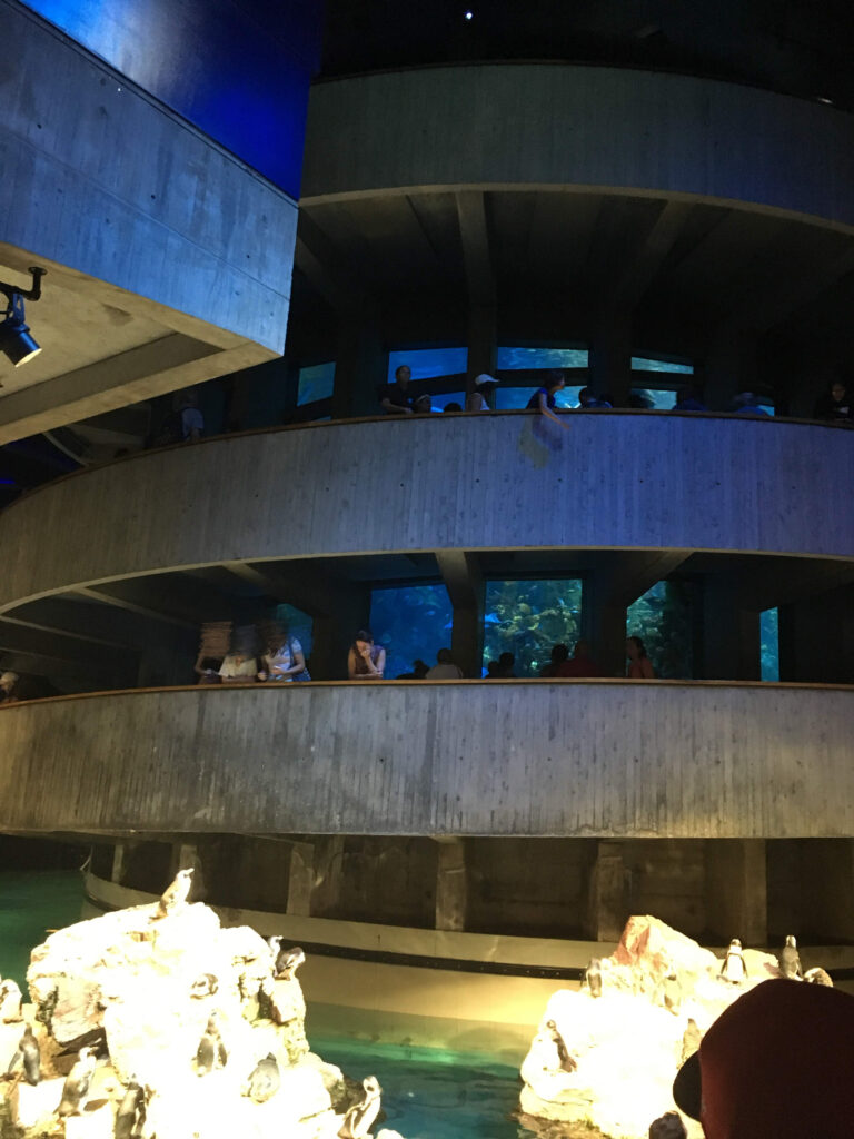 ストン、ニューイングランド水族館