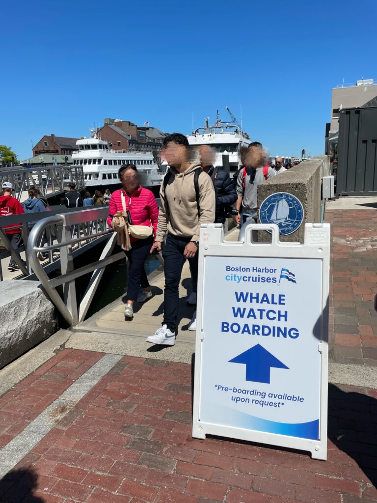 ボストン、くじらウォッチング