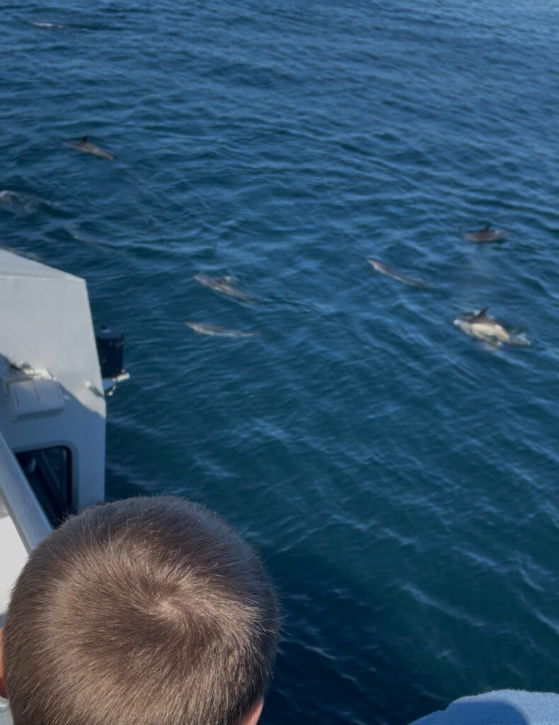 ボストン、クジラウォッチング