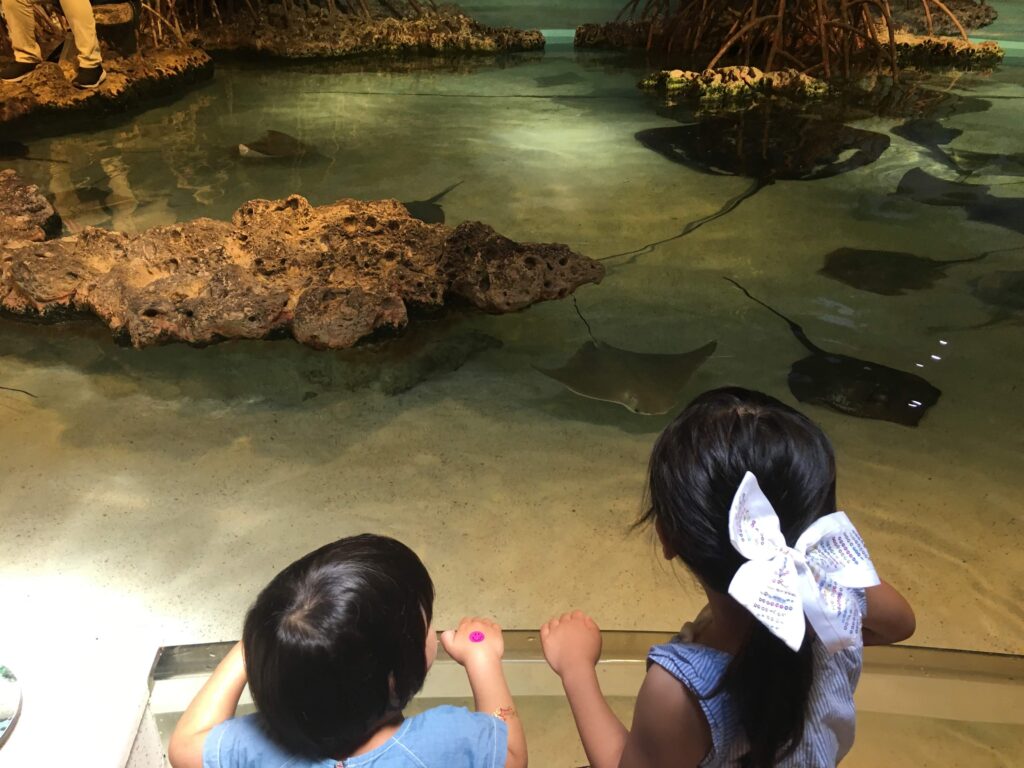 ストン、ニューイングランド水族館