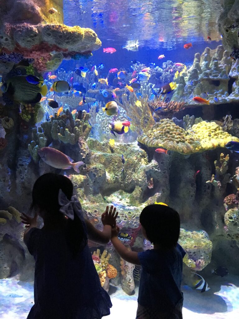 ストン、ニューイングランド水族館