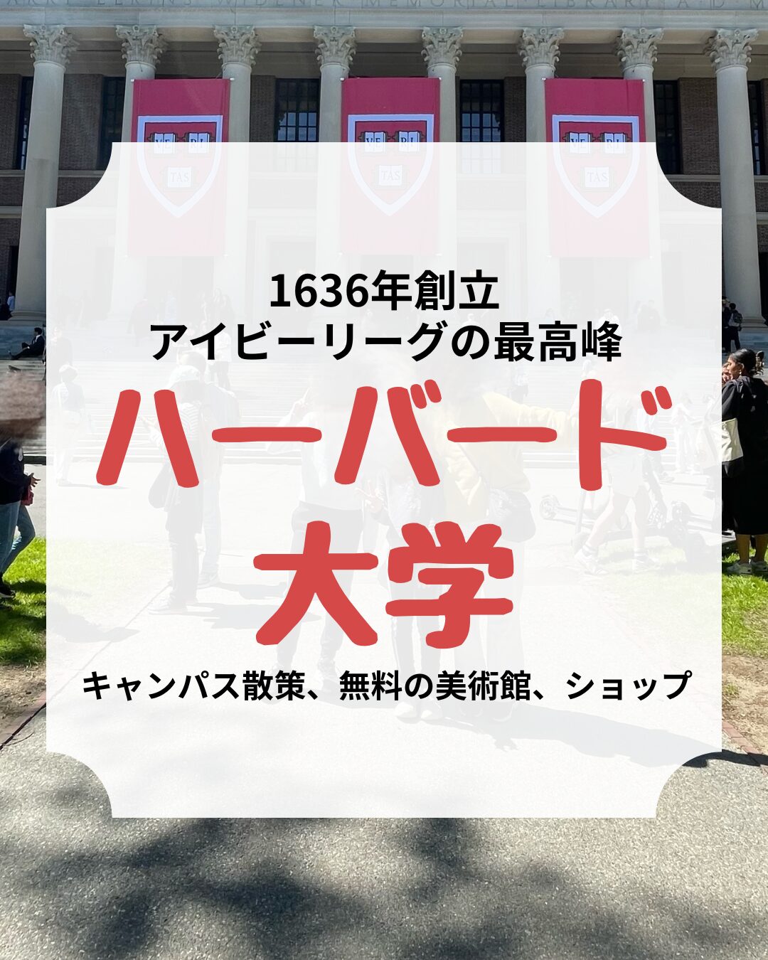 ボストン、ハーバード大学、アイキャッチ