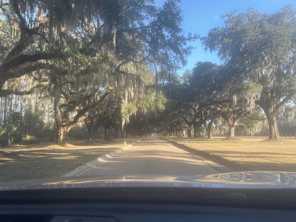 アメリカ東海岸縦断、チャールストン、Boone Hall Plantation & Gardens