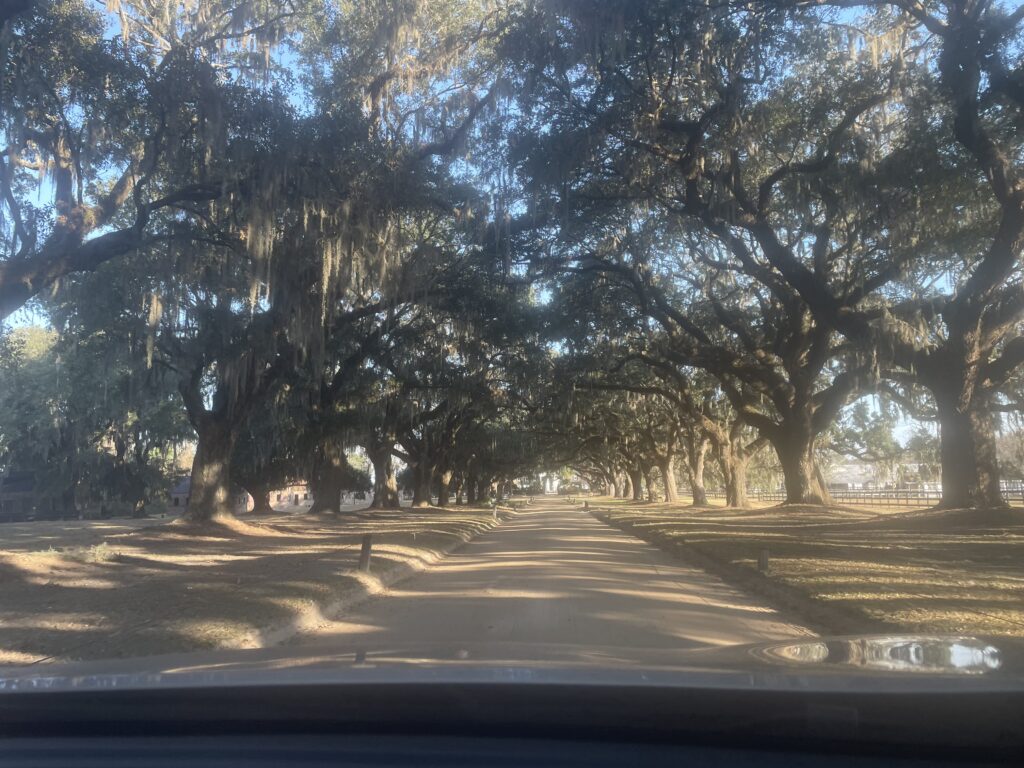 アメリカ東海岸縦断、チャールストン、Boone Hall Plantation & Gardens