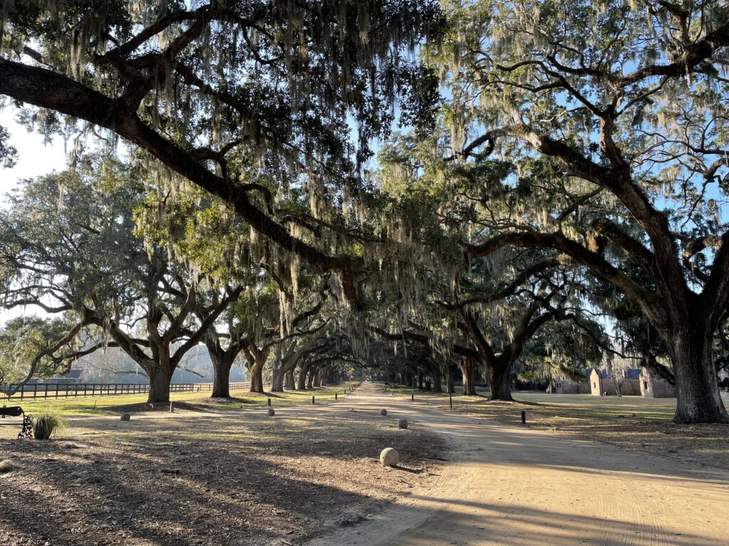 アメリカ東海岸縦断、チャールストン、Boone Hall Plantation & Gardens
