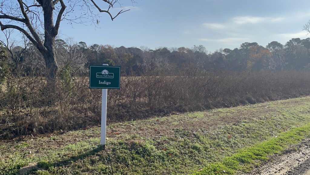 アメリカ東海岸縦断、チャールストン、Boone Hall Plantation & Gardens