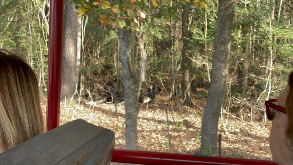アメリカ東海岸縦断、チャールストン、Boone Hall Plantation & Gardens