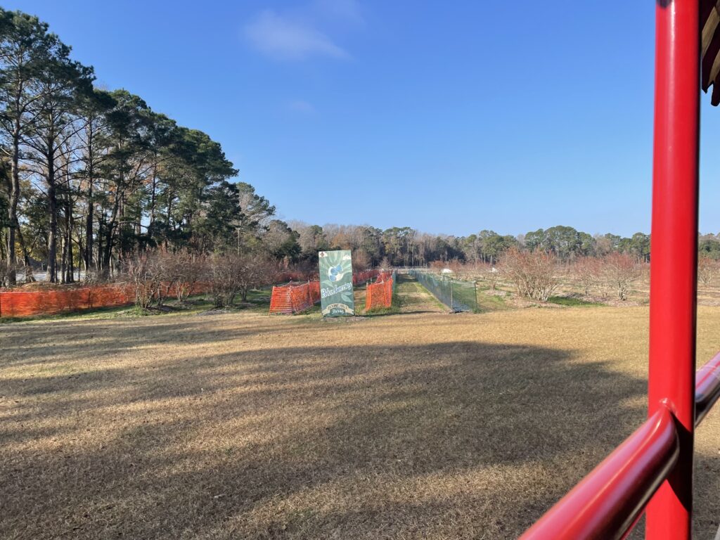 アメリカ東海岸縦断、チャールストン、Boone Hall Plantation & Gardens