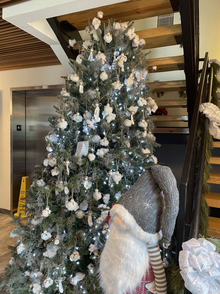 アメリカ東海岸縦断、チャールストン、Boone Hall Plantation & Gardens