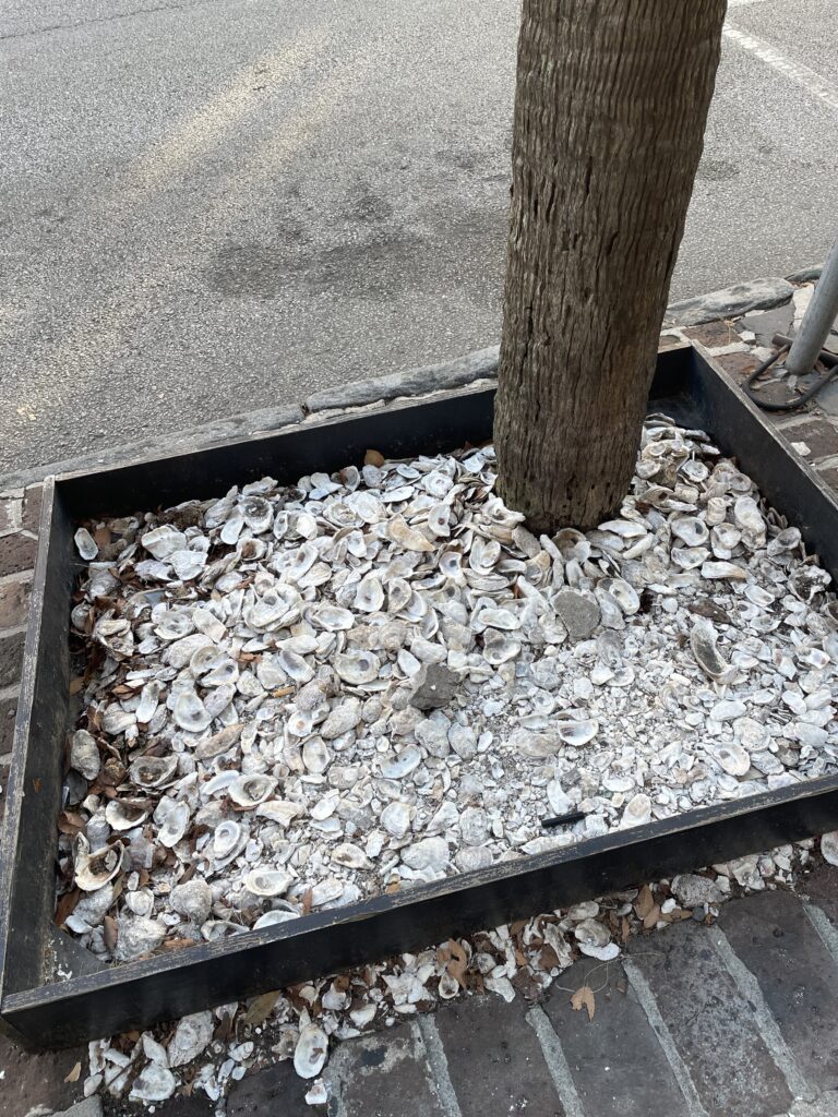 アメリカ東海岸縦断、チャールストン