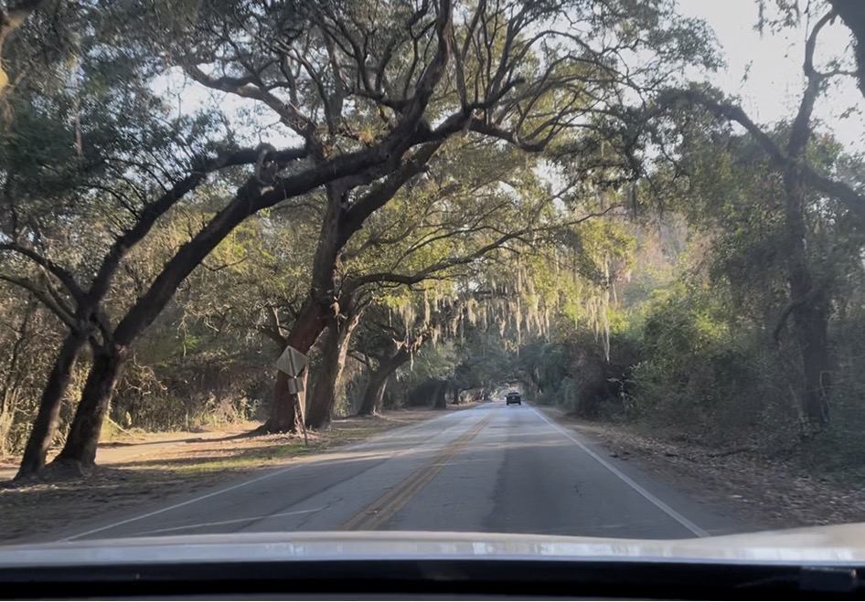 アメリカ東海岸縦断、チャールストン、Boone Hall Plantation & Gardens