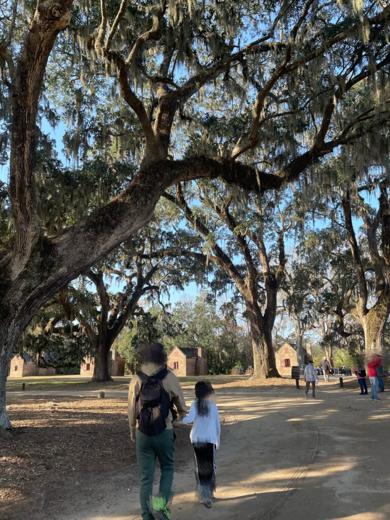 アメリカ東海岸縦断、チャールストン、Boone Hall Plantation & Gardens