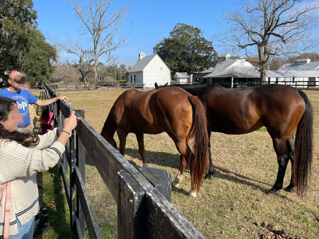 アメリカ東海岸縦断、チャールストン、Boone Hall Plantation & Gardens