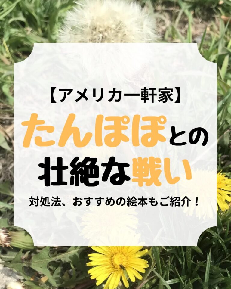 たんぽぽとの戦い、アイキャッチ