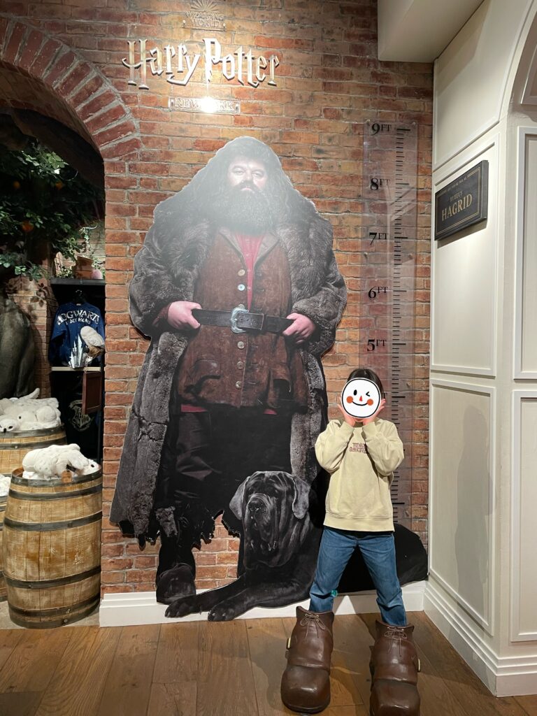 ユニオンスクエア周辺おすすめ、ハリーポッター、Harry Potter Shop New York