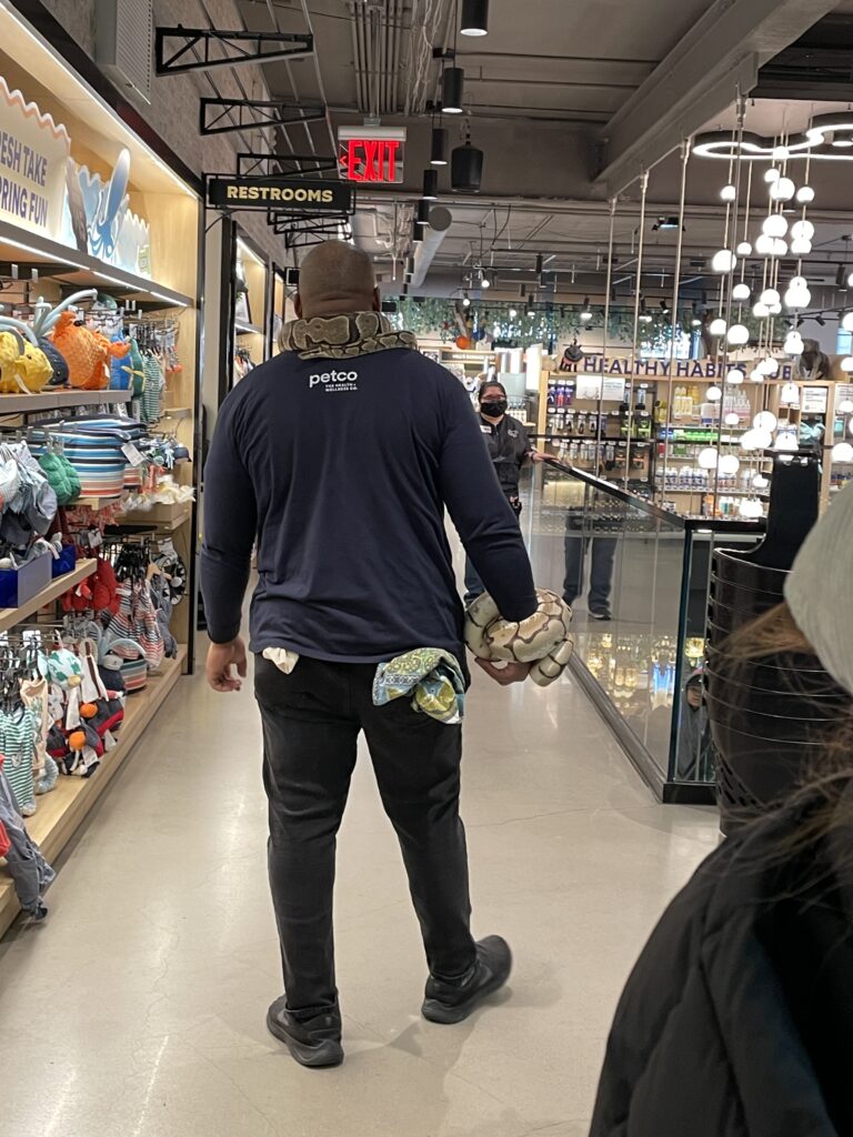 ユニオンスクエア周辺おすすめ、Petco