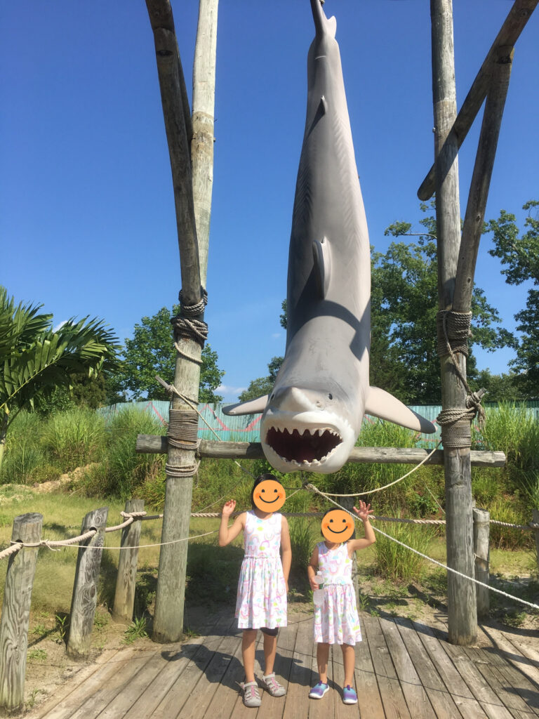 シックスフラッグズ、Six Flags、ハリケーンハーバー、ウォーターパーク