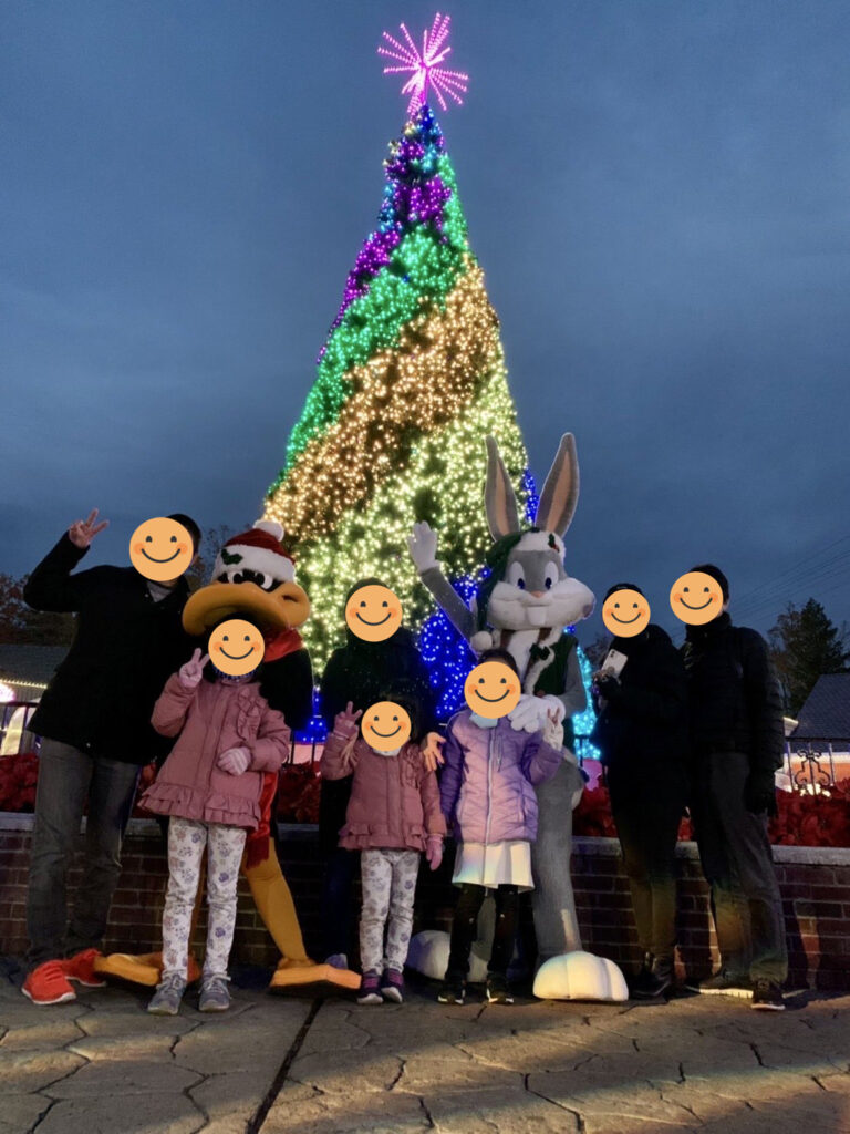 シックスフラッグズ、Six Flags