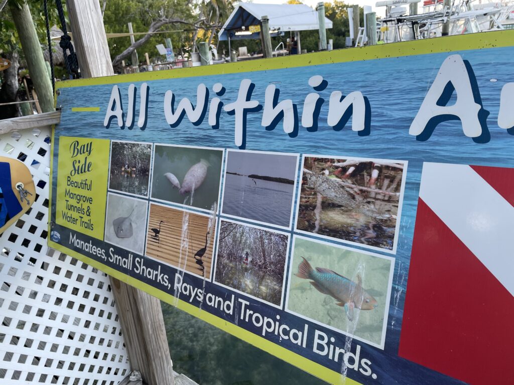 アメリカ東海岸縦断、キーウェスト